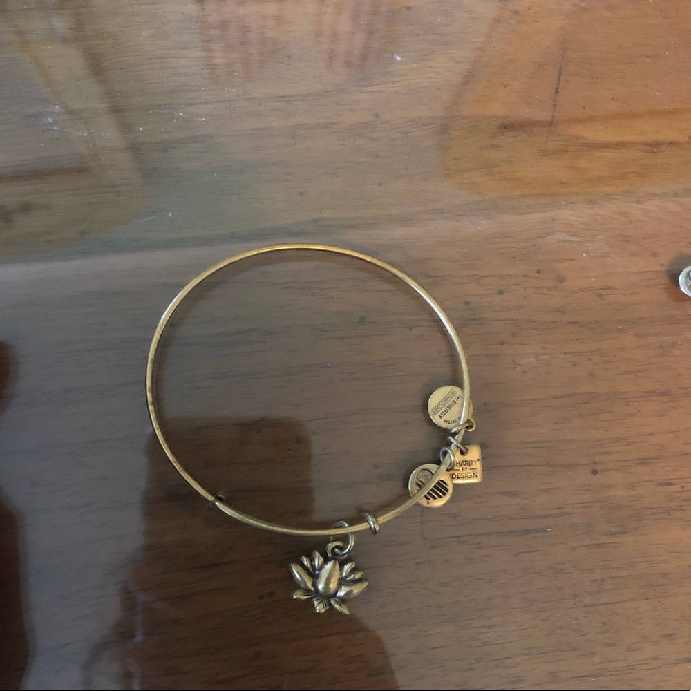 Alex and ani charm bangle